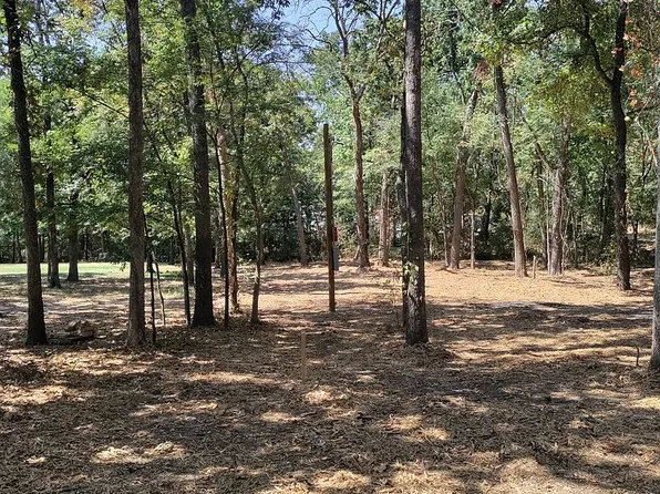 177 County Road 1687, Alba, TX 75410