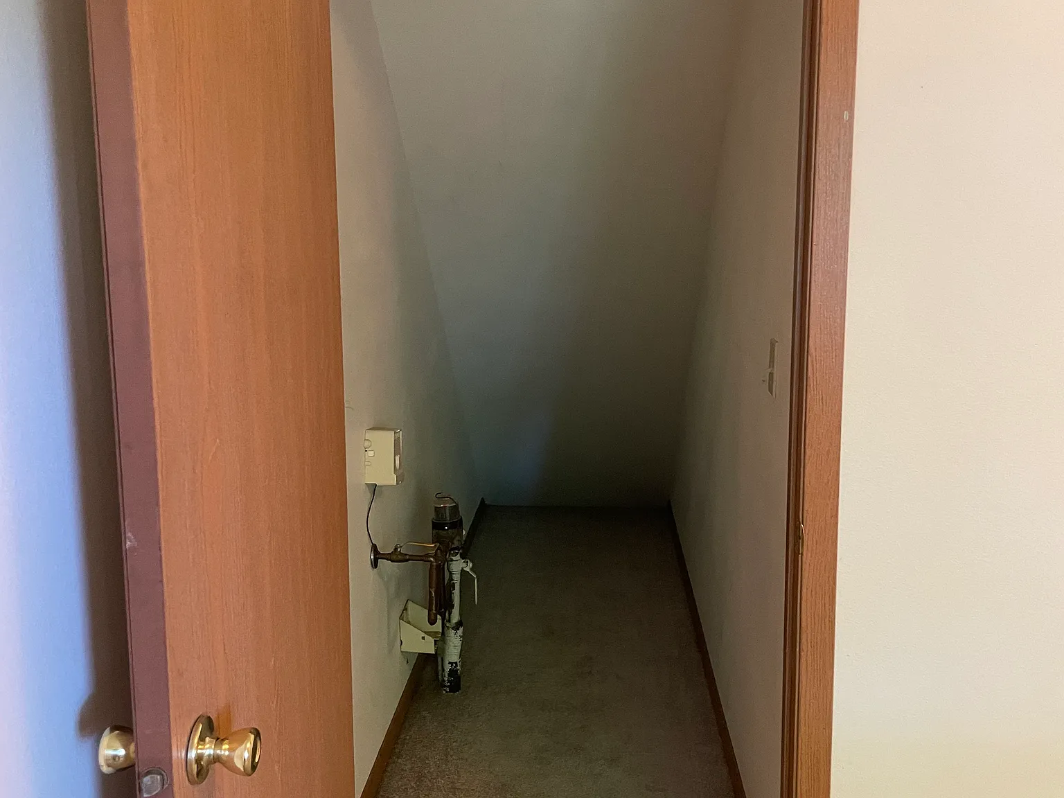 5 bed, 1600 sqft, $1,900 — Photo 3