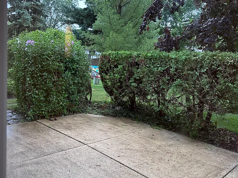 Backyard patio