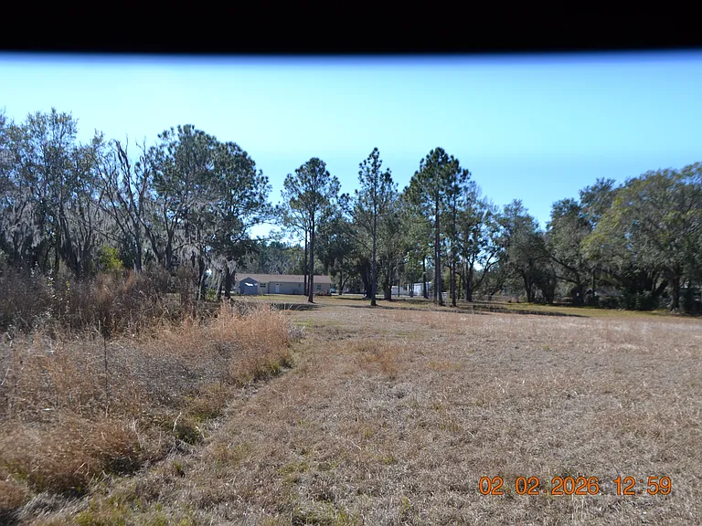 6204 W Knights Griffin Rd — Photo 17