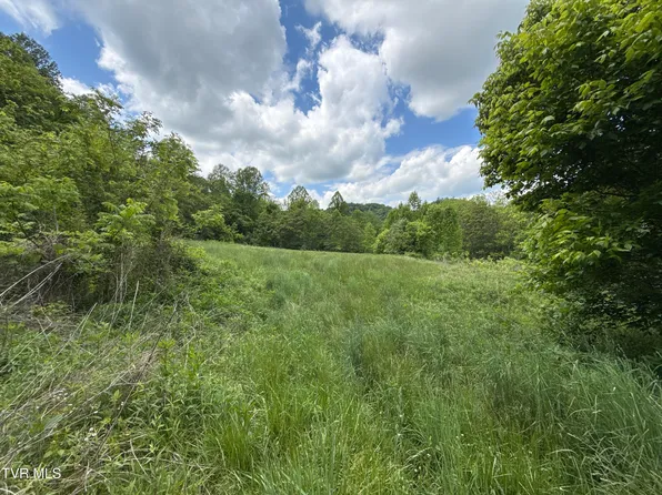 Fisher Valley Rd, Eidson, TN 37731