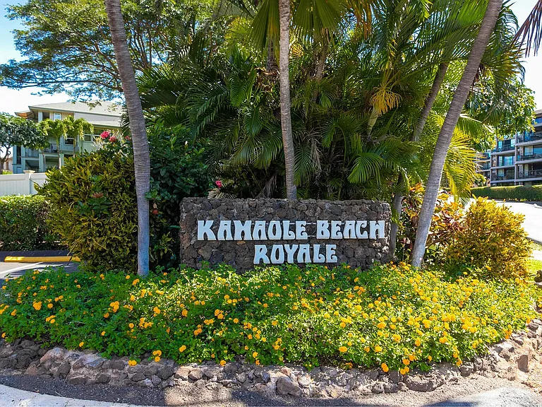 S Kihei Rd — Photo 42