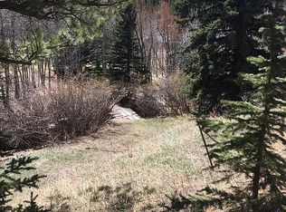 531 Caribou Rd, Nederland, CO 80466