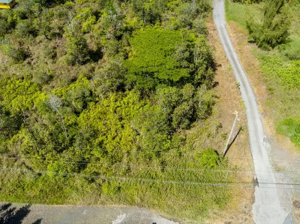 Road 9 Koloa Maoli Lot 5598, Kurtistown, HI 96760