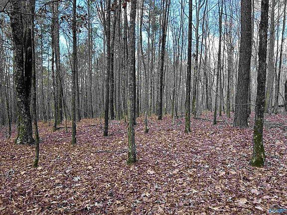 5th image of 049.000 Glenn Gap Rd