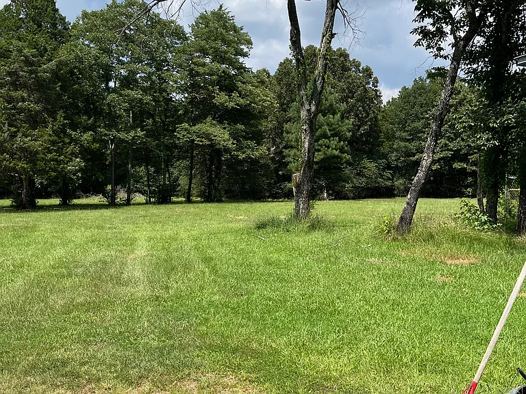 105 Whitetail Dr — Photo 8