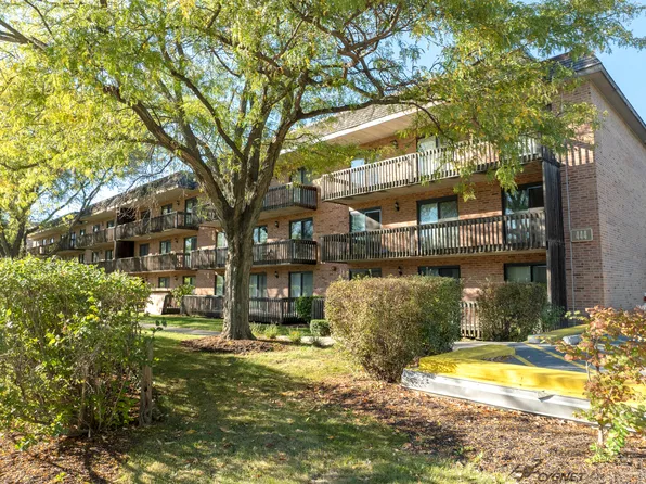 444 Redondo Dr APT 202, Downers Grove, IL 60516