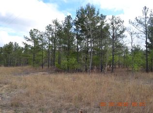 339 Allen Dr, Mauk, GA 31058