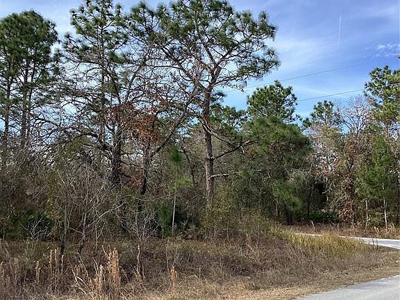 4th image of 12449 Indigo Bunting Rd