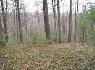 Lot 69 Laurel Mountain Drive, Sparta, NC 28675