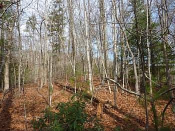 5th image of 5976 Joe Brown Hwy