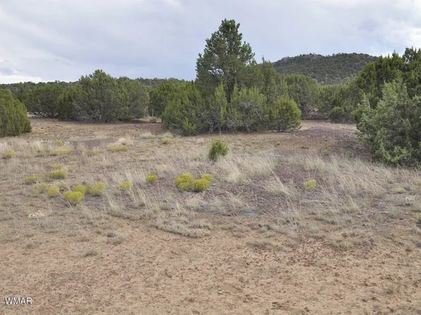 23 County Road 3043 #753, Concho, AZ 85924