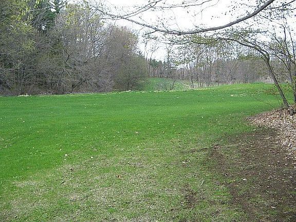 the back fields
