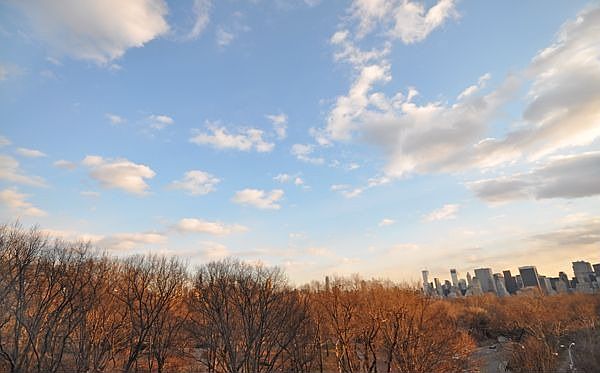 Central Park Views