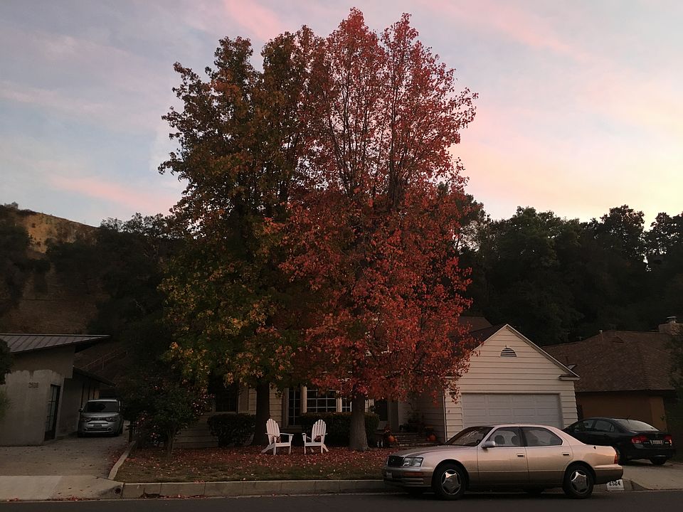 1st image of 2524 E Glenoaks Blvd