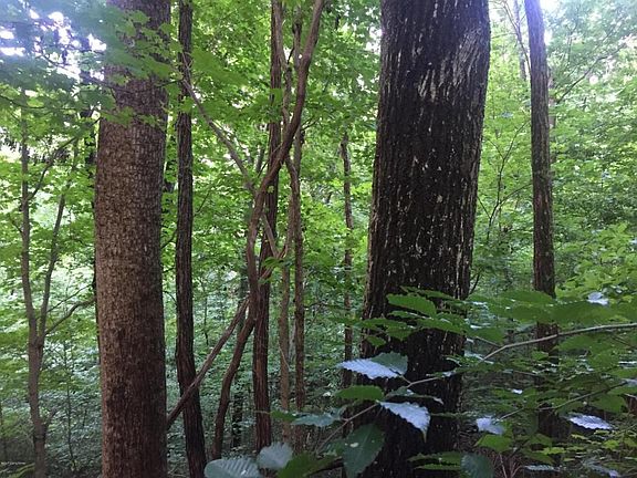 242 gannaway rd 038 (1) (1)