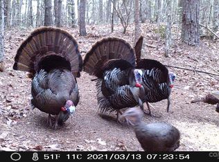 6234 Adako Rd, Lenoir, NC 28645