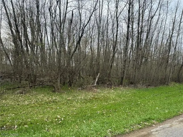 1753 Morning Star Dr, Rock Creek, OH 44084