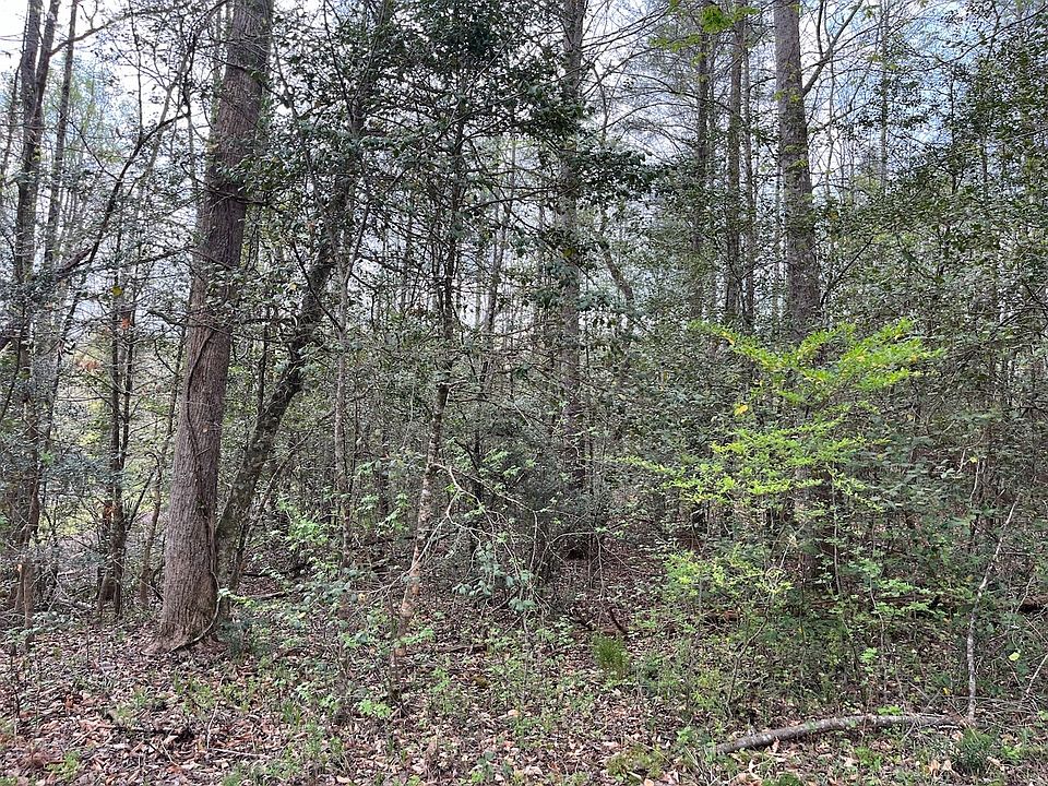 2nd image of 0 Hagood Rd