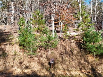 LOT 183 Northshore Dr, Cleveland, GA, 30528