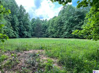 1100 Buckner Hill North Rd, Bonnieville, KY 42713