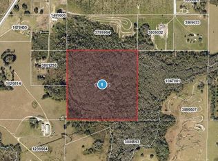 Hidden Grove Rd, Clermont, FL 34711