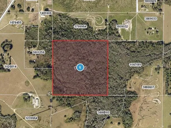 Hidden Grove Rd, Clermont, FL 34711