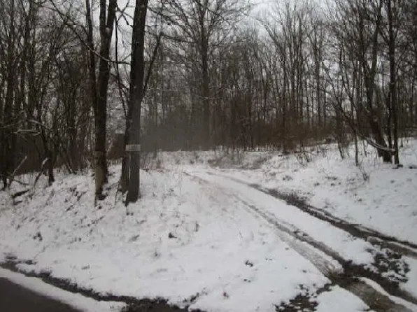 1003 Wharton Furnace Rd, Farmington, PA 15437