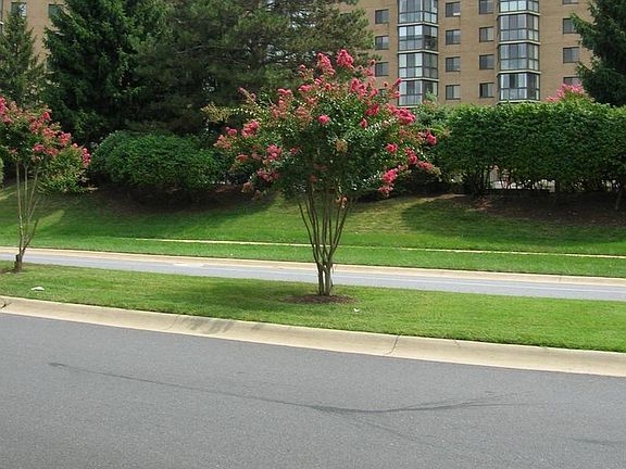 5th image of 3310 N Leisure World Blvd #6-303