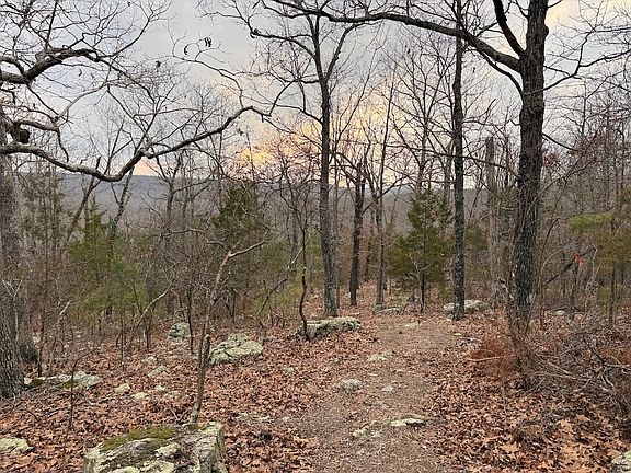 5th image of 920 Monahan Rd