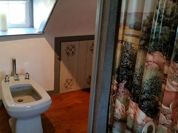 Bidet in 2nd bath