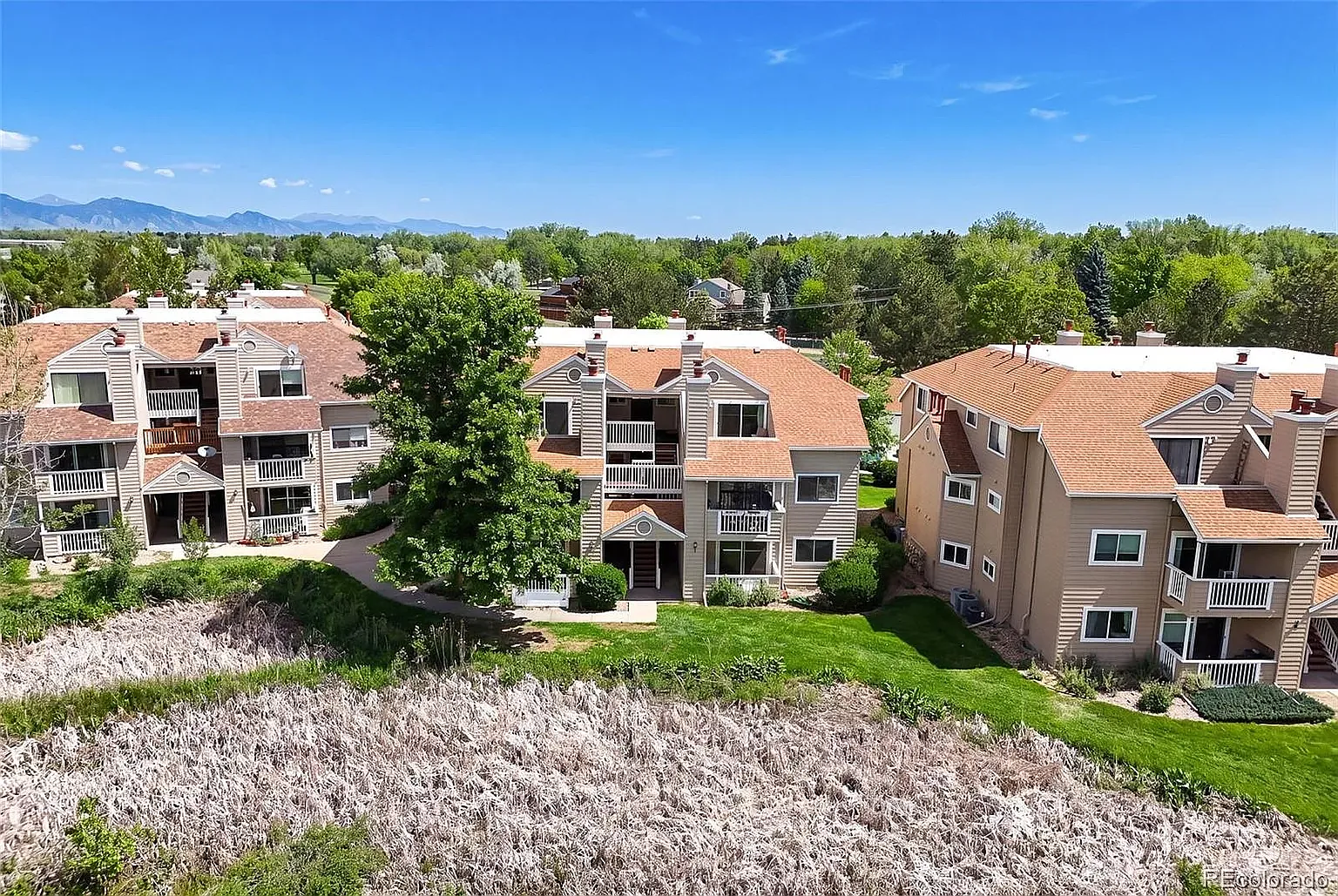 1 bed, 738 sqft, $1,800 — Photo 1