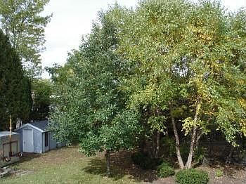 4th image of 200 Lakeshore Dr