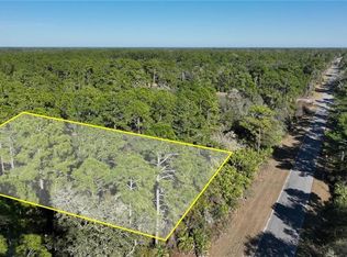 Saffron Avenue Lot #9, Eustis, FL 32736