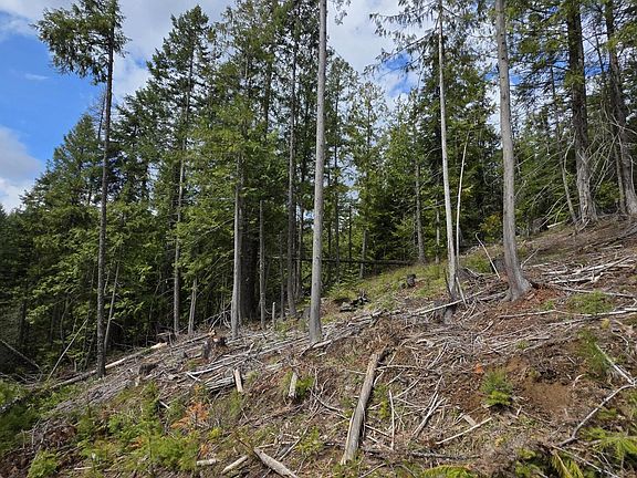 2nd image of Nna Cabin Loop Rd