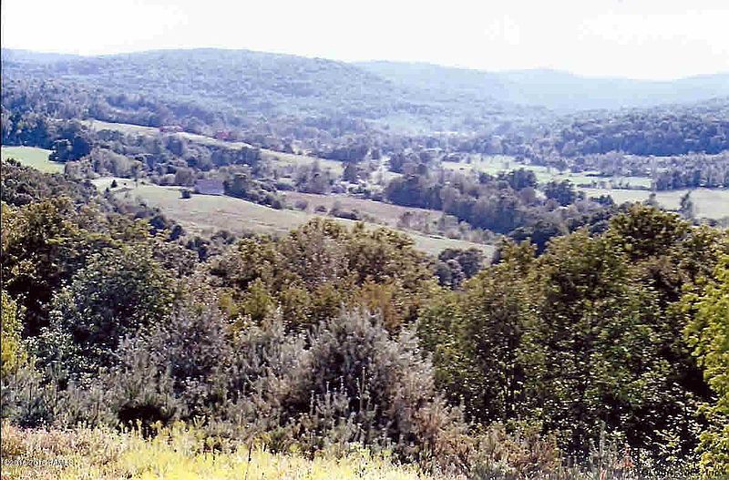 2nd image of 0 SHELDON Road
