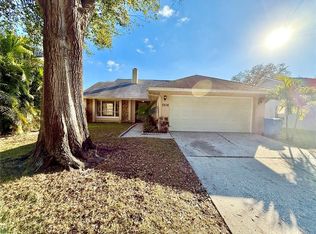 7216 Hollowell Dr, Tampa, FL 33634