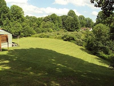 Back Property Summer