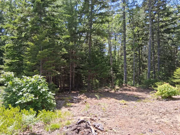 50 Bunchberry Lane, Bristol, ME 04554