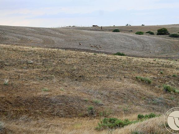 4th image of LOT 4 Joliet Rd