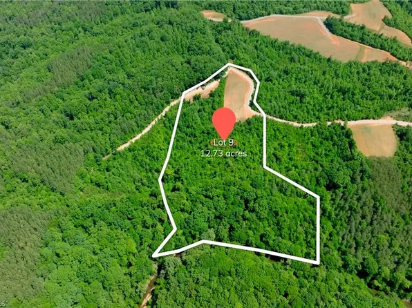 9 Roby Fulk Rd Lot 9, Pinnacle, NC 27043