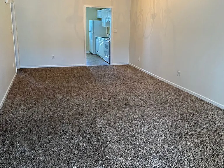441 Flowing Creek Dr — Photo 6