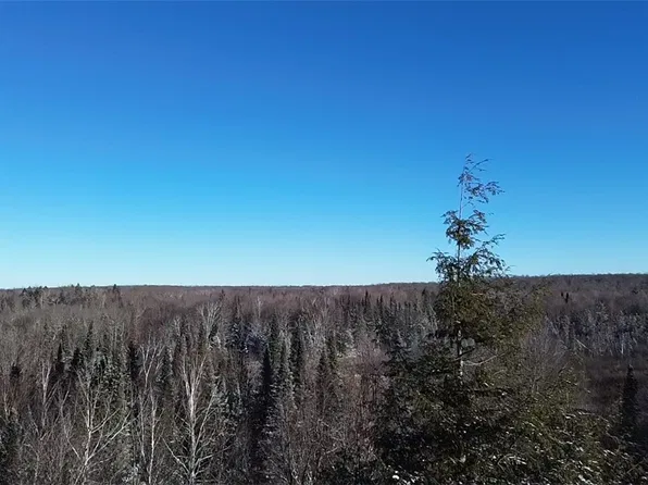 N/A 43 Road, Barnes, WI 54873