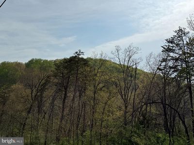 12 Old Oak Ln, Front Royal, VA, 22630