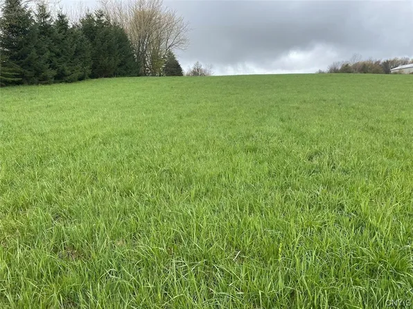 0 Maxon Rd, Varysburg, NY 14167