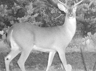 County Road 382, Carlton, TX 76436