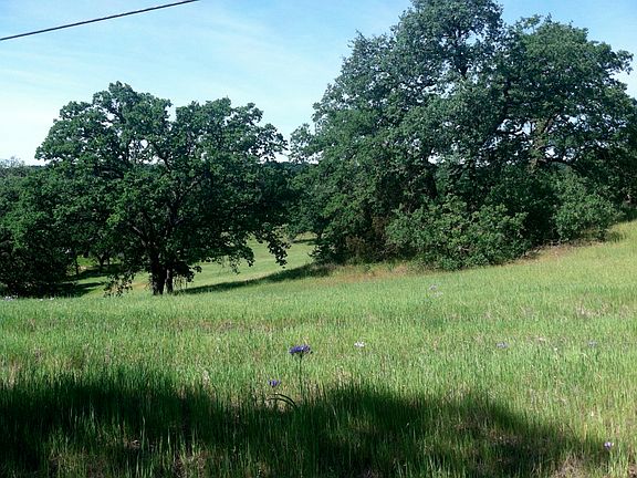 5th image of 10 Five Acres Skyline Drive Red Blf