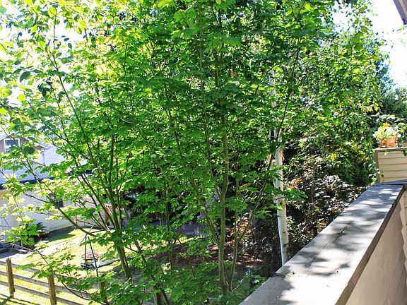 { Main Patio } Perfect for a grill, and room for seating and
