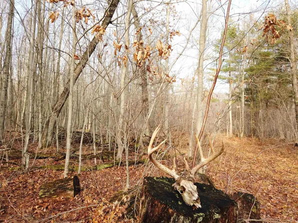 4000AC County Road X, Pittsville, WI 54466
