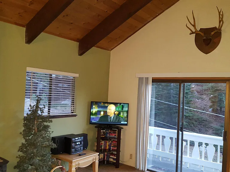 Flat Screen TV, Roku, Gas Fireplace, Deer Antlers